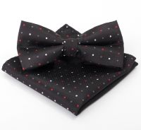 Набор мужской: галстук-бабочка + платок, чёрный