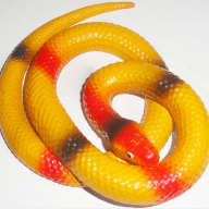 Змея резиновая - Змея резиновая